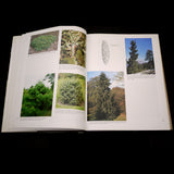 Conifers: The Illustrated Encyclopedia; Vol 2 L-Z - Out of Print