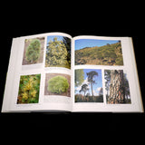 Conifers: The Illustrated Encyclopedia; Vol 2 L-Z - Out of Print