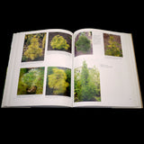 Conifers: The Illustrated Encyclopedia; Vol 2 L-Z - Out of Print