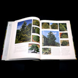 Conifers For Gardens: An Illustrated Encyclopedia - Out of Print