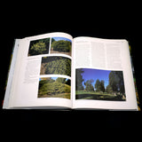 Conifers For Gardens: An Illustrated Encyclopedia - Out of Print