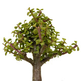 Mini Jade D305