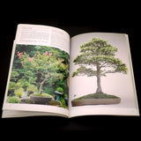 The Four Season of Bonsai - Out of Print