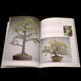 The Four Season of Bonsai - Out of Print