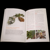 Growing Bonsai Indoors - Brooklyn Botanic - Out of Print