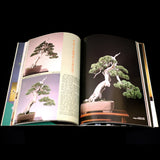 The Bonsai Art Of Kimura (vol 1) - Out of Print