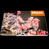 Kokufu 74th Bonsai Exhibition - Out of Print