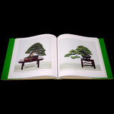 Kokufu 74th Bonsai Exhibition - Out of Print