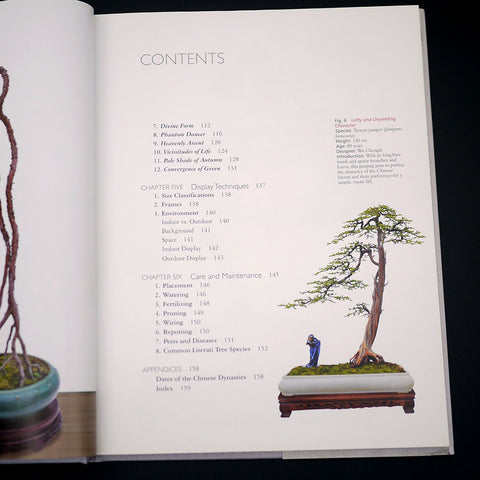 literati style bonsai tree Literati Style Penjing by Zhao Qingquan