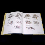 Bonsai with Japanese Maples by Peter Adams - Out Of Print