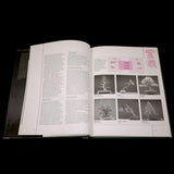 Bonsai Masterclass - Out Of Print