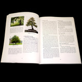 Native North American Plants For Bonsai - Out of Print