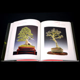 Bonsai: Noelanders Trophy, 10 Years  - Out of Print