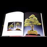 Bonsai: Noelanders Trophy, 10 Years  - Out of Print