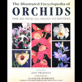 The Illustrated Encyclopedia of Orchids - Out of Print