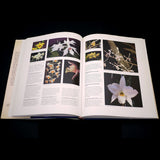 The Illustrated Encyclopedia of Orchids - Out of Print