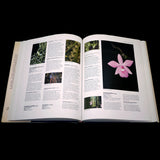 The Illustrated Encyclopedia of Orchids - Out of Print