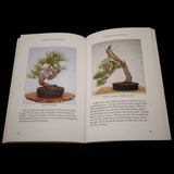 Ponderosa Pines as Bonsai - Out of Print