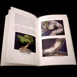 Ponderosa Pines as Bonsai - Out of Print