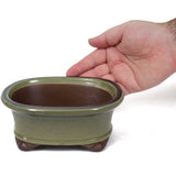 Medium Small oval glazed olive green Japanes pot - PW25