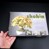 Bonsai Shohin Passion - Out Of Print