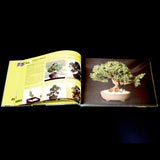 Bonsai Shohin Passion - Out Of Print