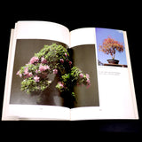 Bonsai Special Techniques - Out Of Print