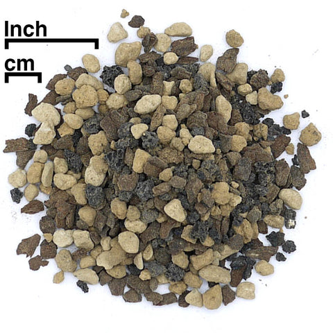 bonsai tree soil mix Tropical Bonsai Soil Mix
