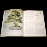 The Art Of Bonsai - Out of Print