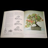 The Art Of Bonsai - Out of Print