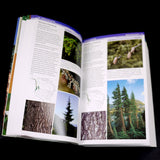 Field Guide to Trees of North America - Out Of Print