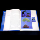 Understanding Bonsai - Out Of Print