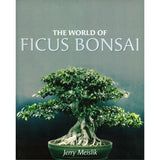 The World of Ficus Bonsai