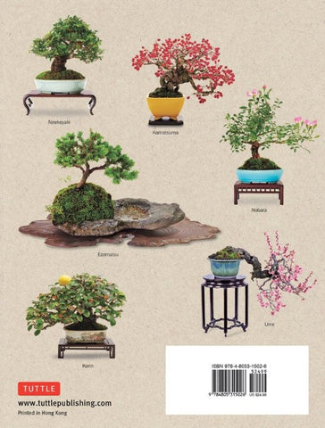 beginners guide to bonsai trees The Ultimate Bonsai Handbook
