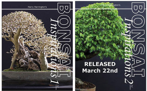 Bonsai Inspirations 1 & 2 by Harry Harrington