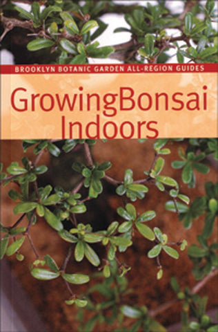 Growing Bonsai Indoors - Brooklyn Botanic