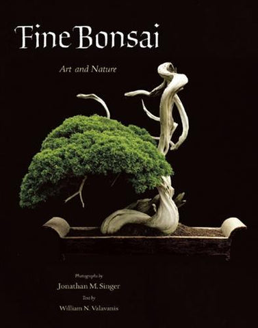 Fine Bonsai, Art and Nature