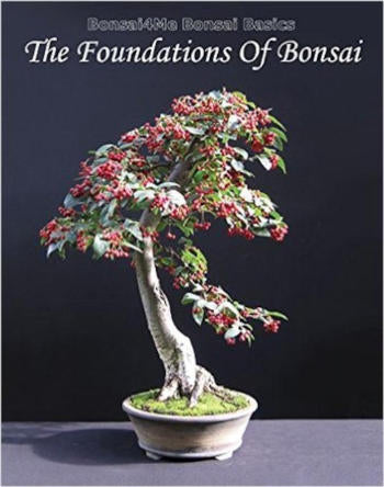 Foundations of Bonsai by Harry Harrington - First Edition
