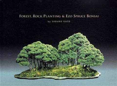 Forest, Rock Planting & Ezo Spruce Bonsai by Saburo Kato