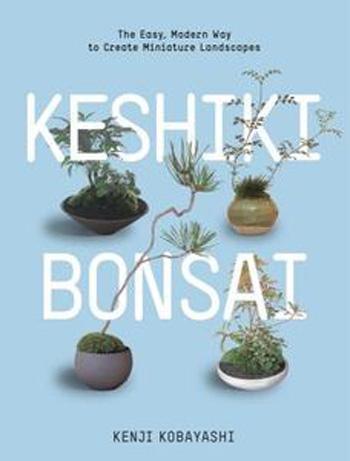 Keshiki Bonsai by Kenji Kobayashi