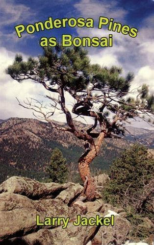 Ponderosa Pines as Bonsai