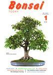 Bonsai Today issue number 1 - ONLY 47.50 with discount