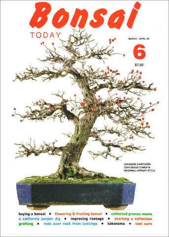 Bonsai Today 6 - Rare Out of Print
