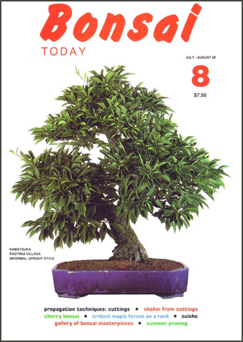 Bonsai Today 8 - Rare Out of Print