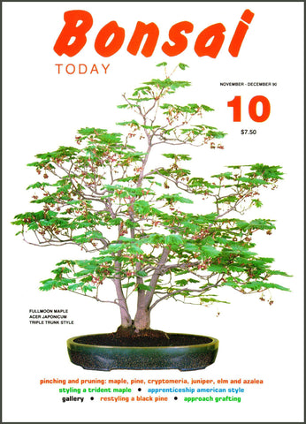 Copy of Bonsai Today 10 - Rare Out of Print