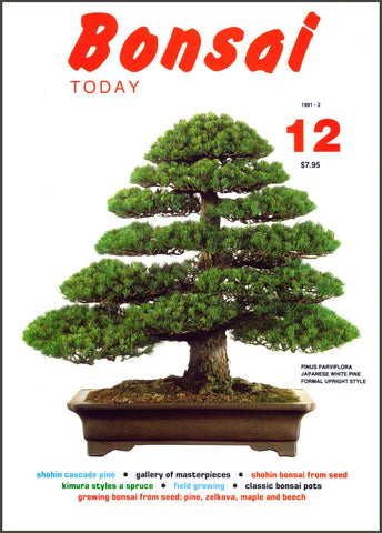 Bonsai Today 12 - Rare Out of Print