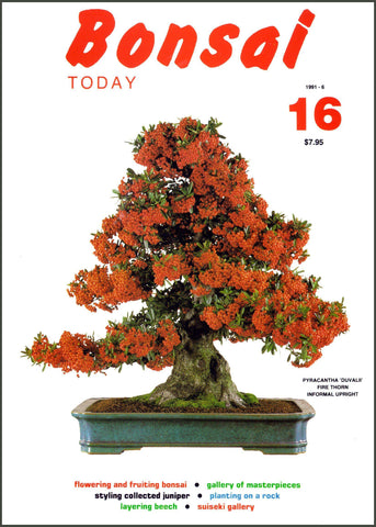 Bonsai Today 16 - Rare Out of Print