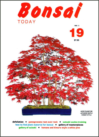 Bonsai Today 19 - Rare Out of Print