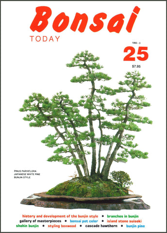 Bonsai Today 25 - Rare Out of Print