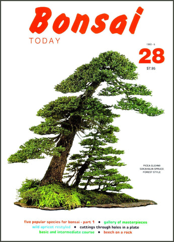 Bonsai Today 28 - Rare Out of Print